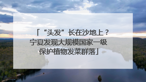“头发”长在沙地上？宁夏发现大规模国家一级保护植物发菜群落